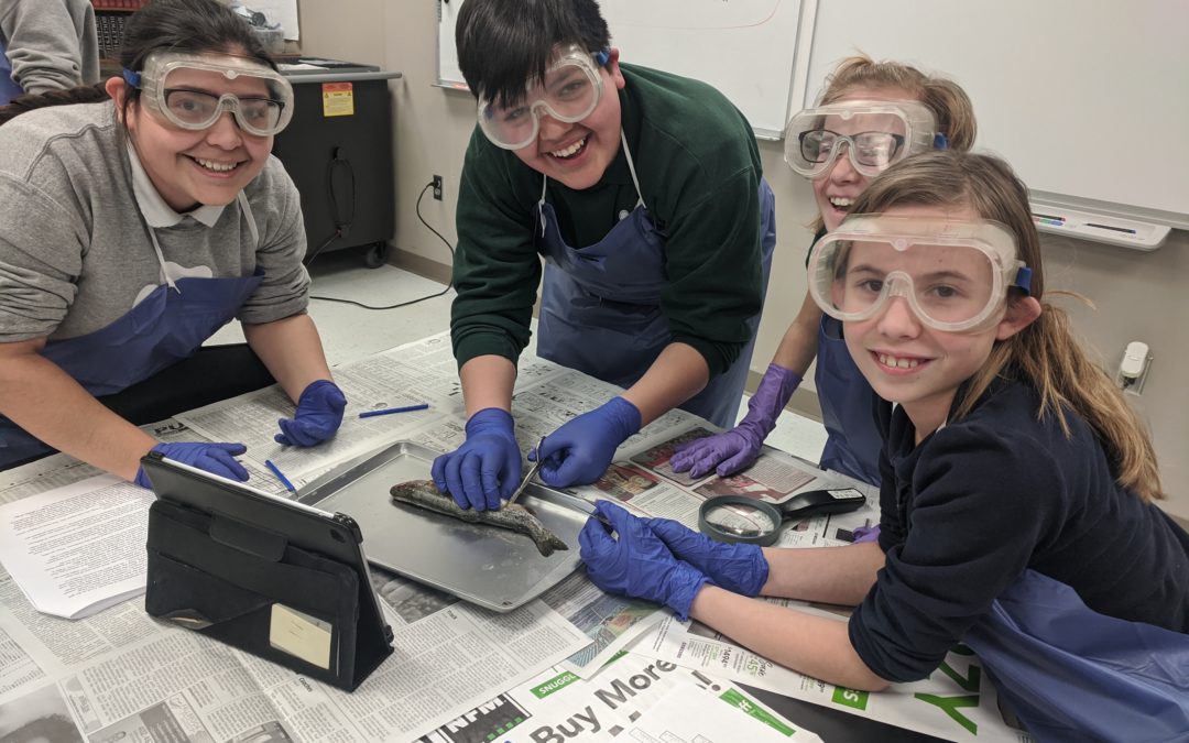 St. Patrick Students Hooked on Science through Trout Project